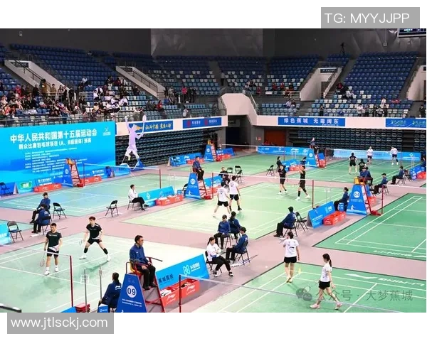 南京羽毛球队在全运会中的技术表现分析与未来发展展望